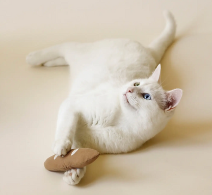 Jouets pour animaux