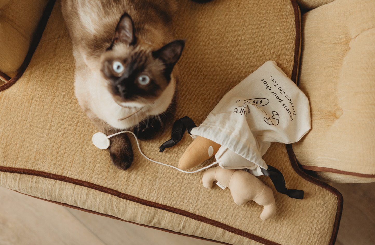 Jouets pour animaux