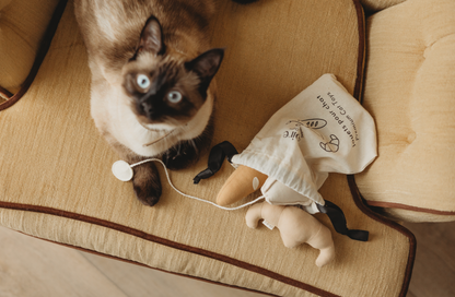 Jouets pour animaux