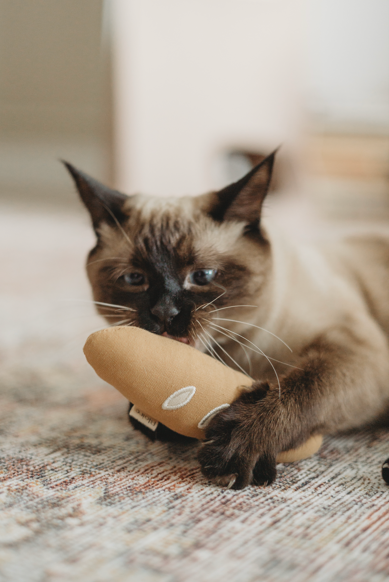 Jouets pour animaux