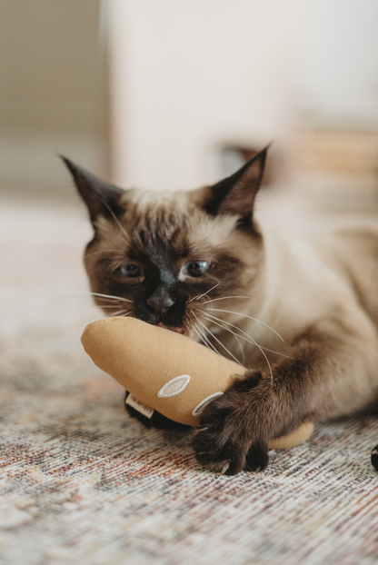 Jouets pour animaux