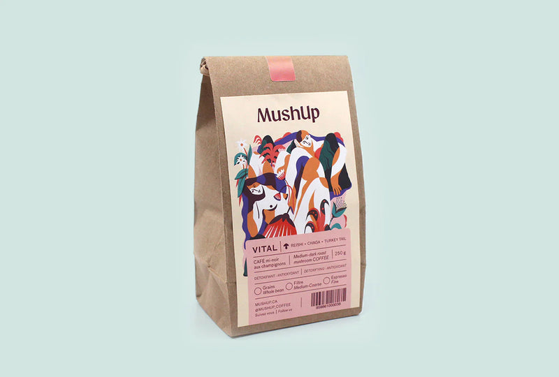 MUSHUP - SPARK