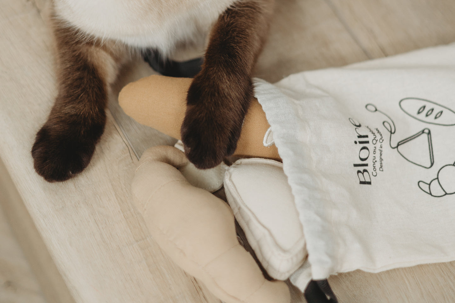 Jouets pour animaux